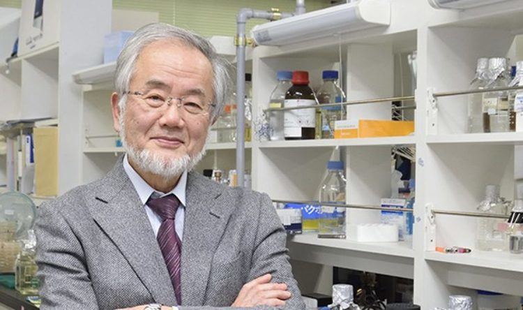 Yoshinori Ohsumi 2016 Nobel Prize In Medicine Awarded to Yoshinori Ohsumi Asian