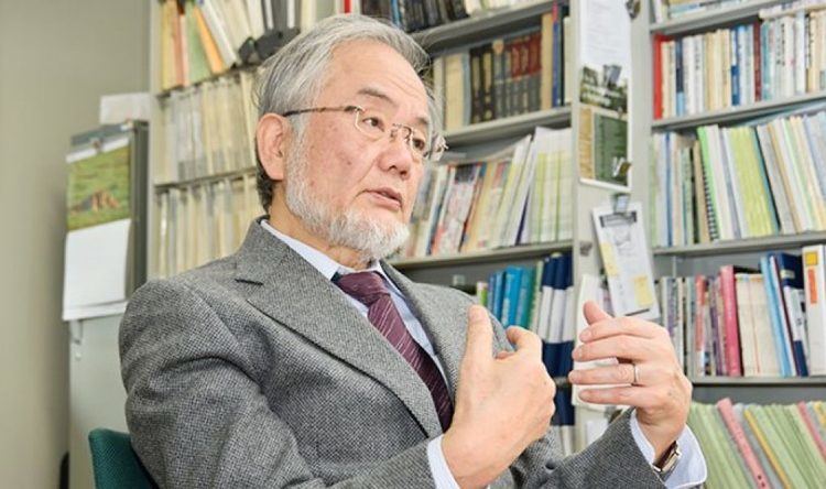 Yoshinori Ohsumi Japanese Biologist Wins 2016 Paul Janssen Award Asian Scientist