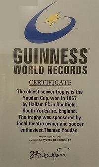 Youdan Cup httpsuploadwikimediaorgwikipediaenthumba