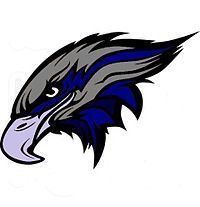 Youngstown Nighthawks httpsuploadwikimediaorgwikipediaenthumb0