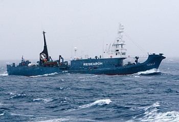 Yūshin Maru No. 2 Sea Shepherd Australia Japanese Whaling Fleet Is On the Run