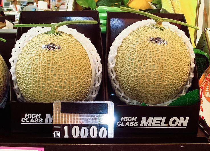Yubari King USD 25000 Price Tag For A Pair Of King Yubari Cantaloupe Melons in