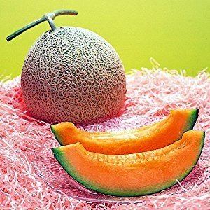 Yubari King Amazoncom RARE Yubari King Melon 10 Seeds 12 000 per Fruit