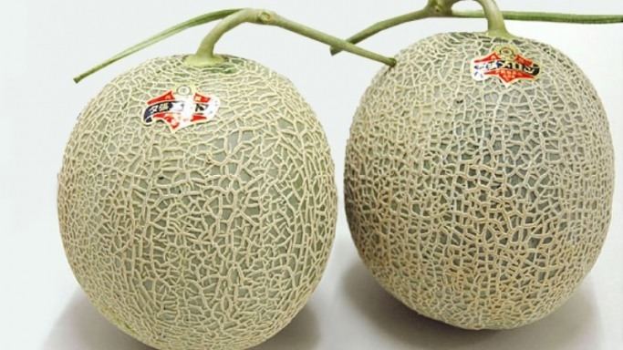 Yubari King Top 25 ideas about Yubari King Melons on Pinterest Hokkaido