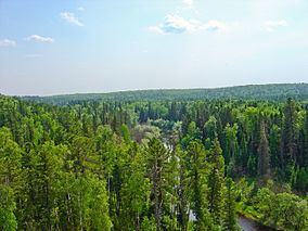 Yugansky Nature Reserve httpsuploadwikimediaorgwikipediacommonsthu