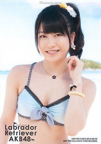 Yui Yokoyama AKB48 Official Photo Labrador Retriever Yui Yokoyama