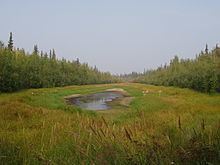 Yukon Flats httpsuploadwikimediaorgwikipediacommonsthu