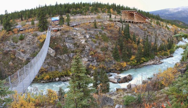 Yukon Suspension Bridge Fall Colours the Yukon Suspension Bridge