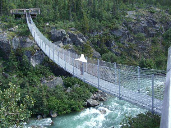 Yukon Suspension Bridge Yukon Suspension Bridge British Columbia Canada Top Tips Before