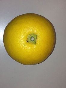 Yukou (Japanese citrus) httpsuploadwikimediaorgwikipediacommonsthu