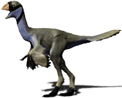 Yulong (dinosaur) wwwdinocheckercomimgyulongpng