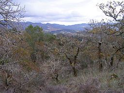 Yulupa Creek httpsuploadwikimediaorgwikipediaenthumba