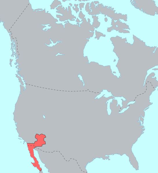Yuman–Cochimí languages