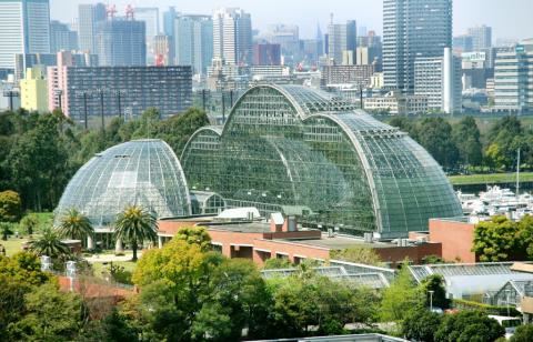 Yumenoshima Yumenoshima Tropical Greenhouse Dome Official Tokyo Travel Guide
