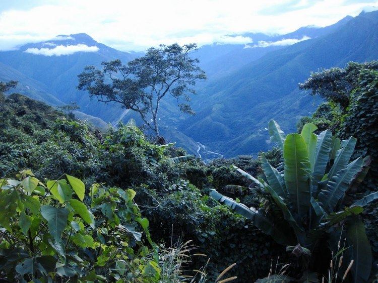 Yungas Land of winds Geography 12