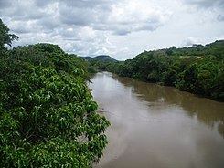 Yuruarí River httpsuploadwikimediaorgwikipediacommonsthu