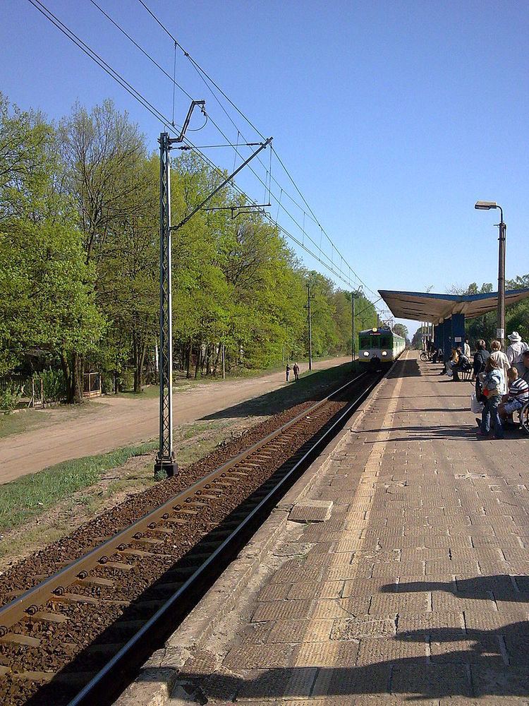 Zalesie Górne railway station