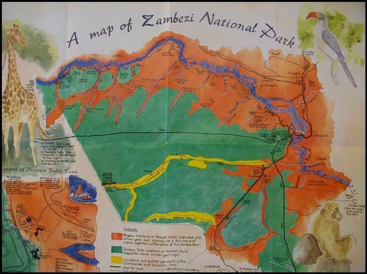 Zambezi National Park wwwvictoriafallsguidenetimagefileszambezina