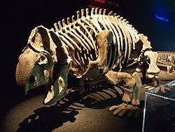 Zambiasaurus httpsuploadwikimediaorgwikipediacommonsthu