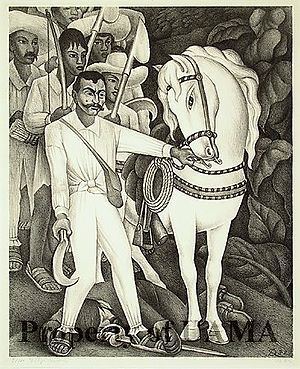 Zapata (lithograph) httpsuploadwikimediaorgwikipediacommonsthu