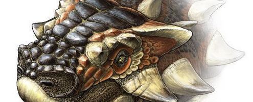 Zaraapelta Mongolian fossil finds expand ankylosaur family tree Science Media