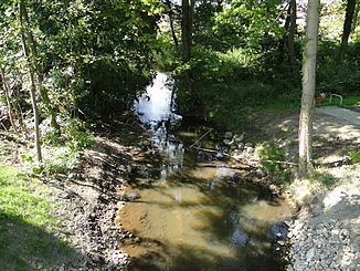 Zarnow (river) httpsuploadwikimediaorgwikipediacommonsthu