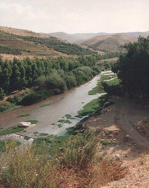 Zarqa River httpsuploadwikimediaorgwikipediacommonsthu