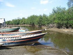 Zarumilla River httpsuploadwikimediaorgwikipediacommonsthu