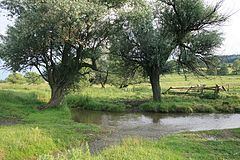 Zdynia (river) httpsuploadwikimediaorgwikipediacommonsthu