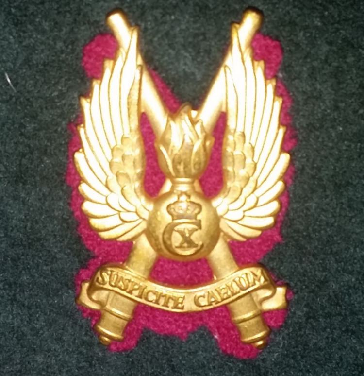Zealand Air Defence Regiment