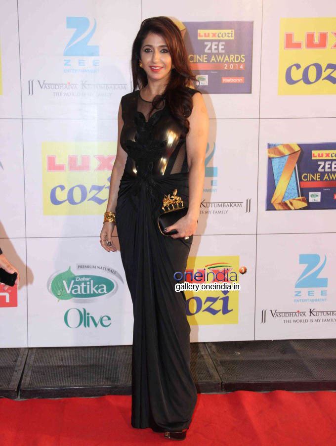 Zee Cine Awards ZEE Cine Awards 2014 ZCA 2014 Nominations amp Winners 14th edition