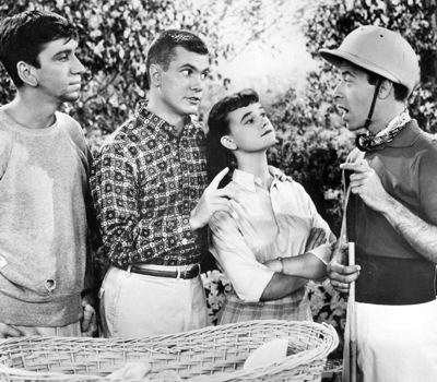 Zelda Gilroy REMEMBER ZELDA GILROY FROM DOBIE GILLIS Wizbang Pop