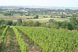 Zeoke (Lazarevac) httpsuploadwikimediaorgwikipediacommonsthu