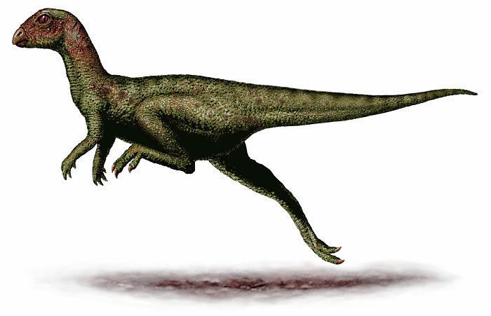 Zephyrosaurus dinography