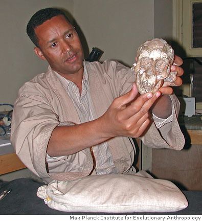 Zeresenay Alemseged ETHIOFORUM View topic Ethiopian Scientist