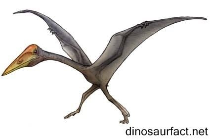 Zhejiangopterus Zhejiangopterus Dinosaur