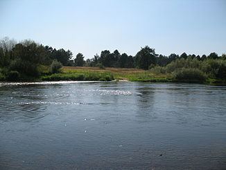 Zhizdra River httpsuploadwikimediaorgwikipediacommonsthu