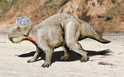 Zhuchengceratops httpsuploadwikimediaorgwikipediacommonsthu