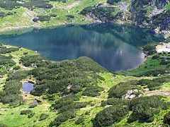 Zielony Staw Gąsienicowy (lake) httpsuploadwikimediaorgwikipediacommonsthu