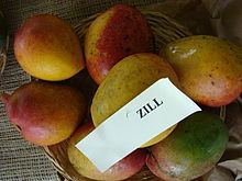 Zill (mango) httpsuploadwikimediaorgwikipediacommonsthu