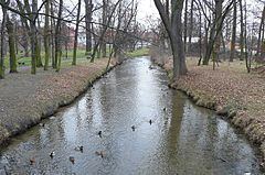 Zimnica (river) httpsuploadwikimediaorgwikipediacommonsthu