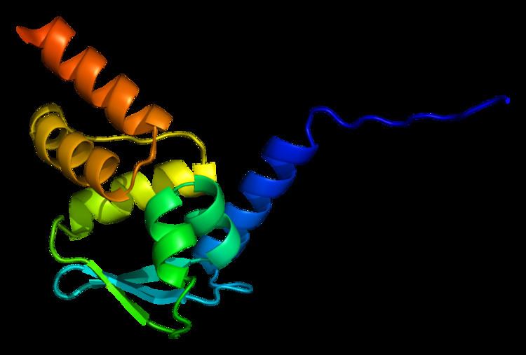 Zinc finger and BTB domain-containing protein 16