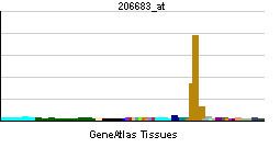 Zinc finger protein 165