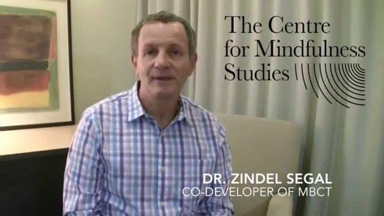 Zindel Segal 5Day MBCT Training with Dr Zindel Segal YouTube
