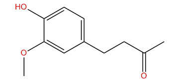 Zingerone zingerone Synthesis
