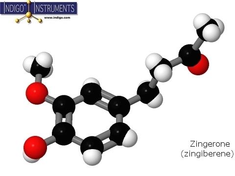 Zingerone Zingerone Chemistry Structure Model made with Indigo Instrument