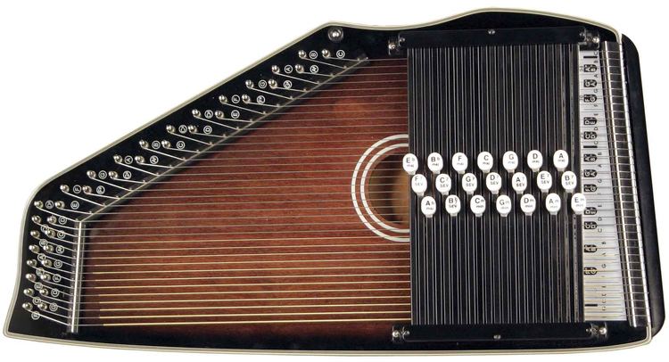 Modern zither shop