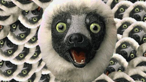 Zoboomafoo Zoboomafoo GIFs Find amp Share on GIPHY