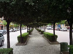 Zogu I Boulevard httpsuploadwikimediaorgwikipediacommonsthu