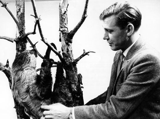 Zoo Quest BBC Archive David Attenborough Zoo Quest for a Dragon David